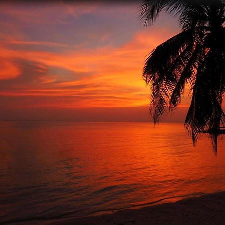 Sibaja Palms Sunset Beach Luxury Villa Taling Ngam Beach Exteriör bild