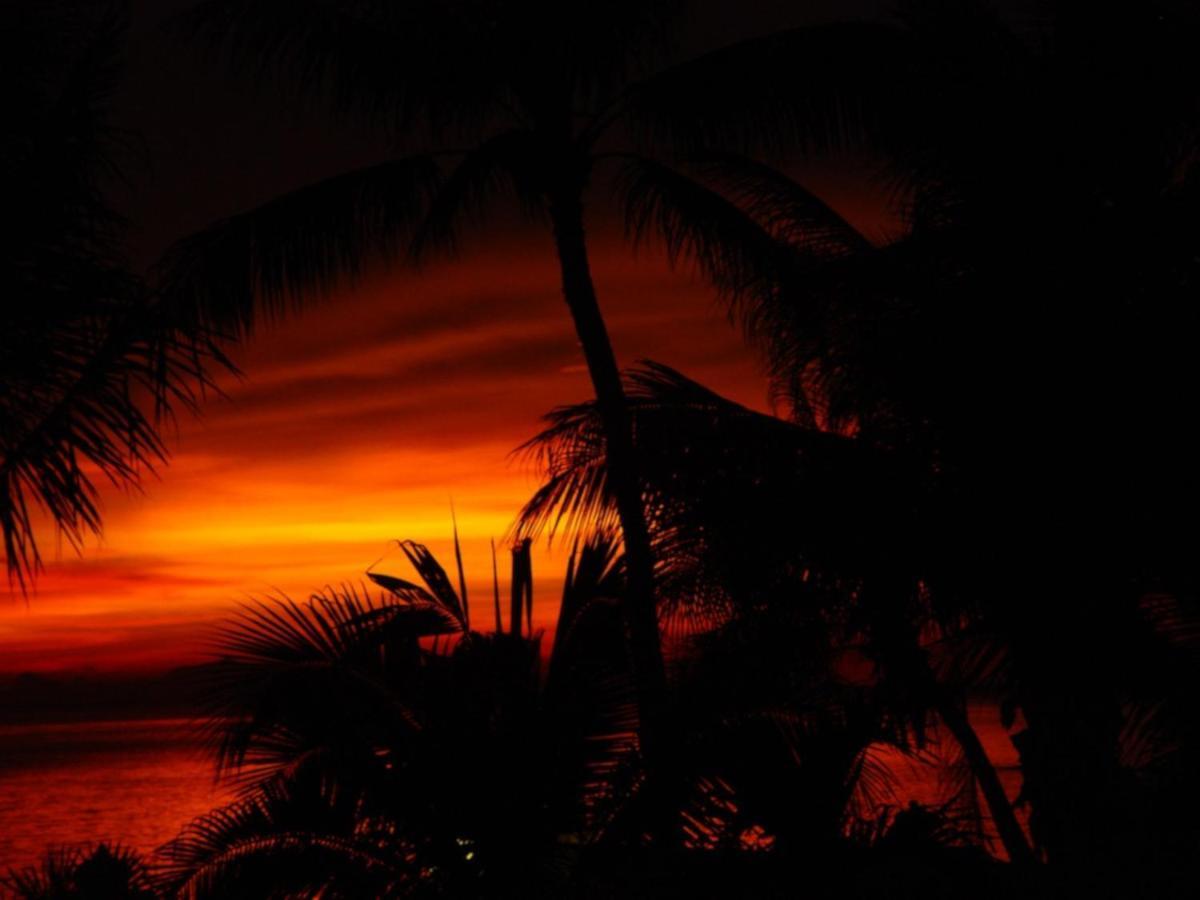 Sibaja Palms Sunset Beach Luxury Villa Taling Ngam Beach Exteriör bild